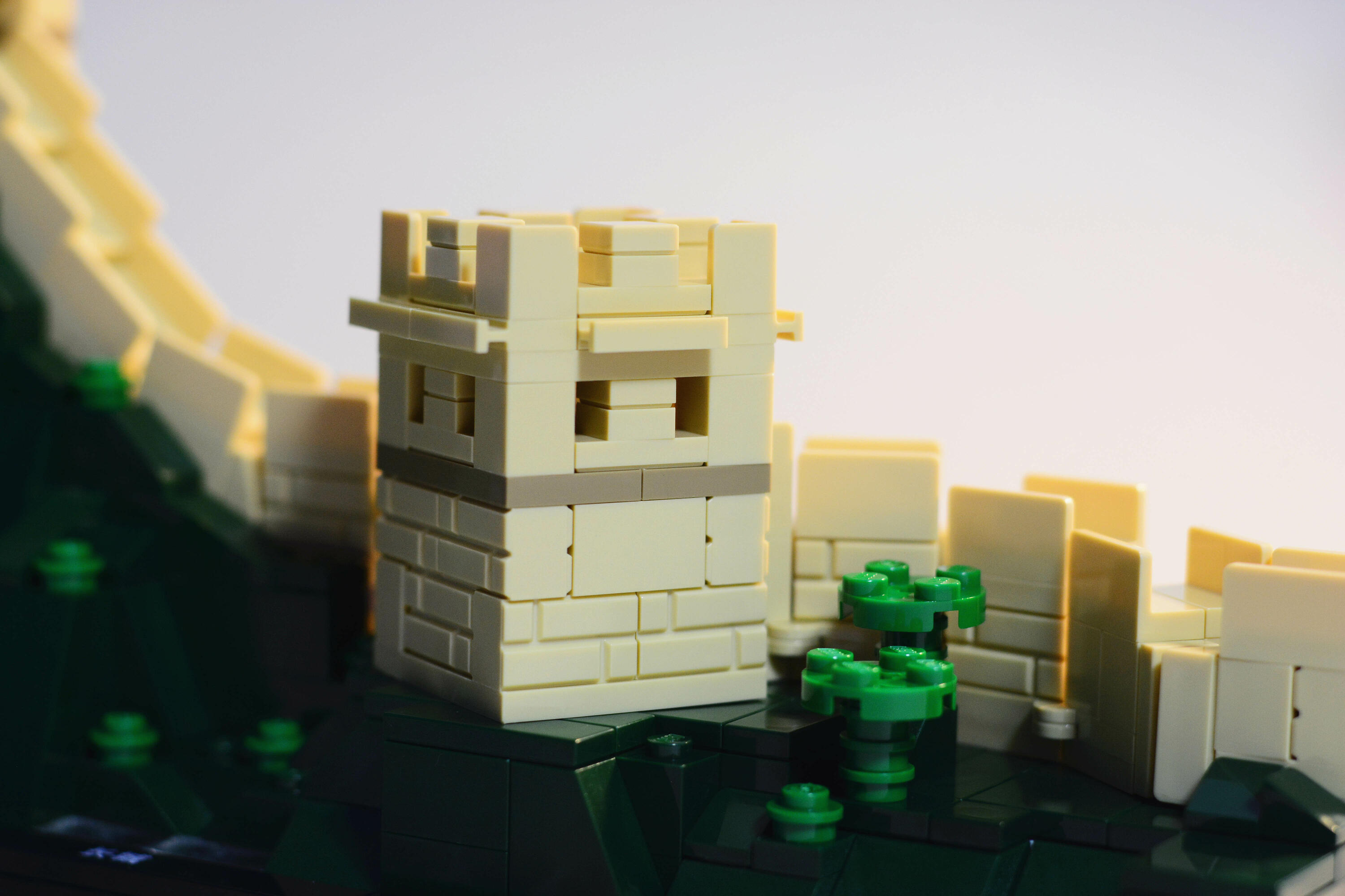 DSC_0056